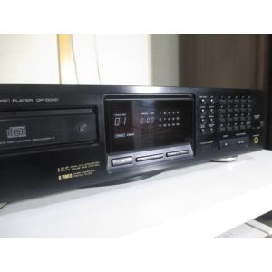 JVCケンウッド（JVC KENWOOD） KENWOOD DPF-3010 〓 意外と中庸な