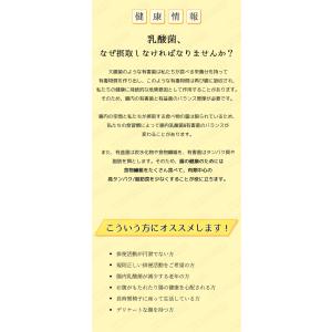 3個セット 鍾根堂健康 Chong Kun D...の詳細画像2