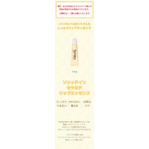 2個セット torriden トリデン ソリッ...の詳細画像1