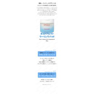 セルフュージョンc ポストアルファクーリングパ...の詳細画像1