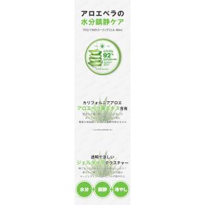 nature republic ネイチャーリパ...の詳細画像2