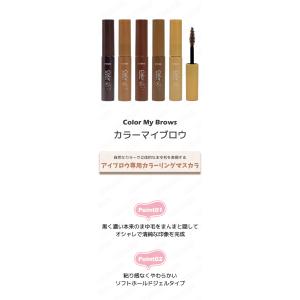 etude エチュード カラーマイブロウ マス...の詳細画像1
