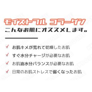 etude エチュード モイストフルコラーゲン...の詳細画像2