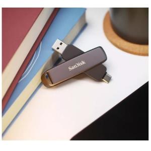 SANDISK(サンディスク) ポータブルSS...の詳細画像4