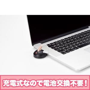 Shop Japan(ショップジャパン) 集音...の詳細画像3