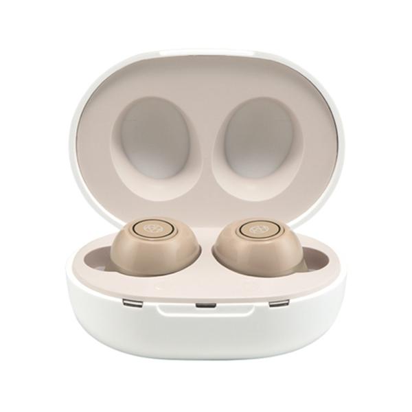 Shop Japan（ショップジャパン） 耳穴型楽ちんヒアリング（ＵＳＢ充電式） RA-SABG1