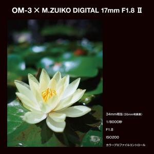 OM SYSTEM 交換用レンズ マイクロフォ...の詳細画像1