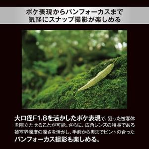OM SYSTEM 交換用レンズ マイクロフォ...の詳細画像5