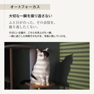 OM SYSTEM ミラーレス一眼カメラ PE...の詳細画像4