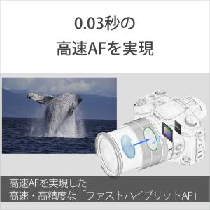 SONY（ソニー） 高画質タイプデジタルカメラ　４Ｋ　Cyber-shot（サイバーショット） DSC-RX10M4｜ksdenki