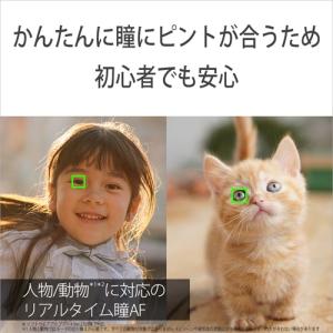 SONY(ソニー) 小型一眼カメラ ボディ α...の詳細画像2