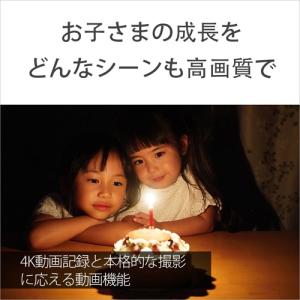 SONY(ソニー) 小型一眼カメラ ボディ α...の詳細画像4