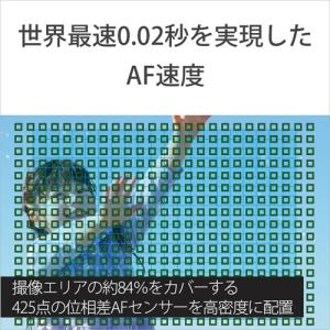 SONY(ソニー) 小型一眼カメラ 1本レンズ...の詳細画像1