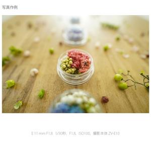 SONY(ソニー) デジタル一眼カメラα[Eマ...の詳細画像4
