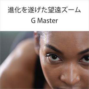 SONY(ソニー) 望遠ズームレンズ FE 7...の詳細画像2