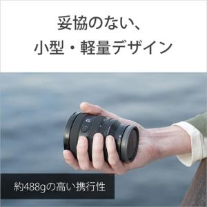 SONY(ソニー) デジタル一眼カメラα[Eマ...の詳細画像4