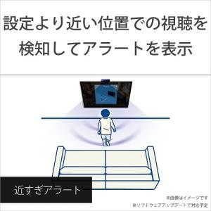 SONY(ソニー) BRAVIA CAM(ブラ...の詳細画像2