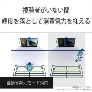 SONY(ソニー) BRAVIA CAM(ブラ...の詳細画像3