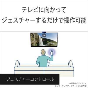 SONY(ソニー) BRAVIA CAM(ブラ...の詳細画像4