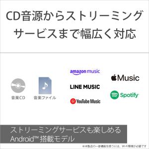 SONY(ソニー) ウォークマン A300シリ...の詳細画像4