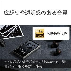 SONY(ソニー) ウォークマン A300シリ...の詳細画像4