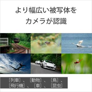 SONY(ソニー) 小型一眼カメラ VLOGC...の詳細画像2
