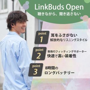 SONY(ソニー) 完全ワイヤレスイヤホン L...の詳細画像1