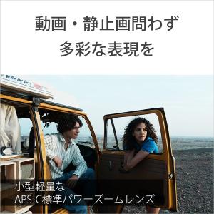 SONY(ソニー) デジタル一眼カメラα[Eマ...の詳細画像3