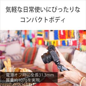 SONY(ソニー) デジタル一眼カメラα[Eマ...の詳細画像4