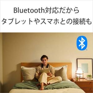 SONY(ソニー) ワイヤレスネックバンドスピ...の詳細画像4