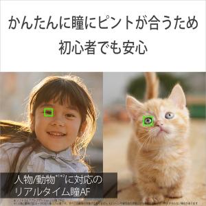 SONY(ソニー) ミラーレス一眼カメラ パワ...の詳細画像2