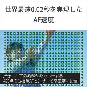 SONY(ソニー) ミラーレス一眼カメラ パワ...の詳細画像3