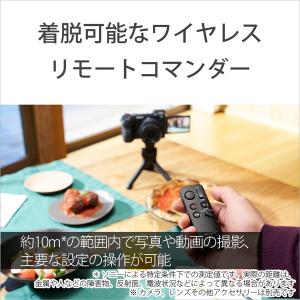 SONY(ソニー) ワイヤレスシューティンググ...の詳細画像4