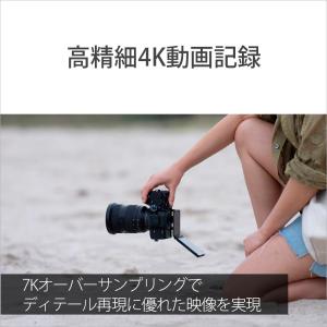 SONY(ソニー) ミラーレス一眼カメラ ボデ...の詳細画像3