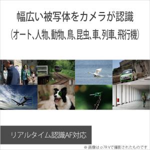 SONY(ソニー) ミラーレス一眼カメラ ボデ...の詳細画像5