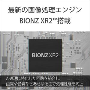 SONY(ソニー) プロフェッショナルカムコー...の詳細画像3