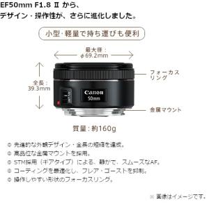 Canon(キヤノン) 交換用レンズ キヤノン...の詳細画像2