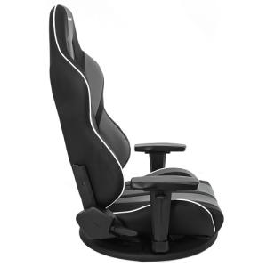 AKRacing(エーケーレーシング) 極坐 ...の詳細画像1