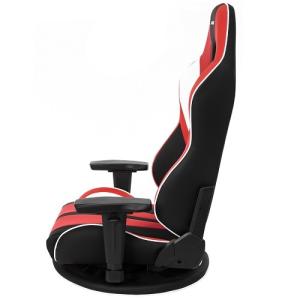 AKRacing(エーケーレーシング) 極坐 ...の詳細画像1