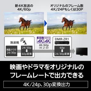 Panasonic(パナソニック) 4K DI...の詳細画像3