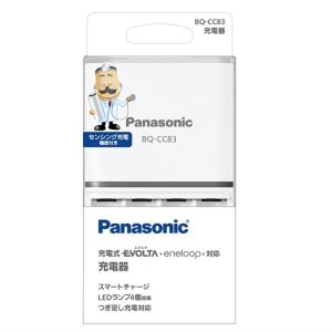 Panasonic（パナソニック） エネループライト充電池 単3×2本 省エネ