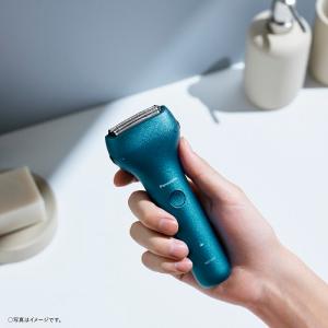 Panasonic(パナソニック) エントリー...の詳細画像1