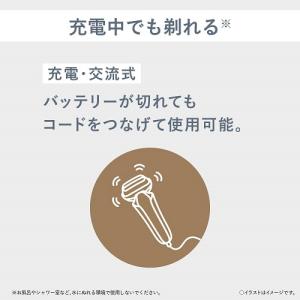 Panasonic(パナソニック) エントリー...の詳細画像4