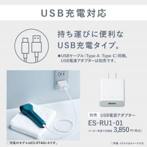 Panasonic(パナソニック) エントリー...の詳細画像3