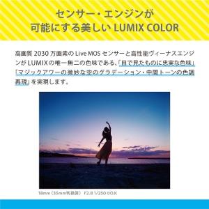 Panasonic(パナソニック) ミラーレス...の詳細画像1