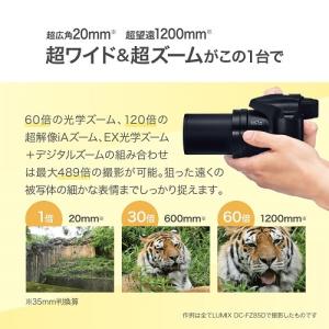 Panasonic(パナソニック) 望遠タイプ...の詳細画像1