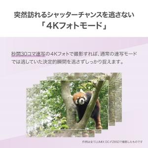 Panasonic(パナソニック) 望遠タイプ...の詳細画像2