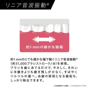 Panasonic(パナソニック) 音波振動ハ...の詳細画像2