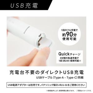 Panasonic(パナソニック) 音波振動ハ...の詳細画像4