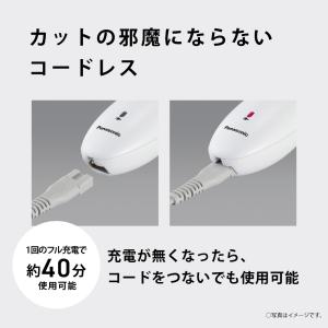 Panasonic(パナソニック) ファミリー...の詳細画像1